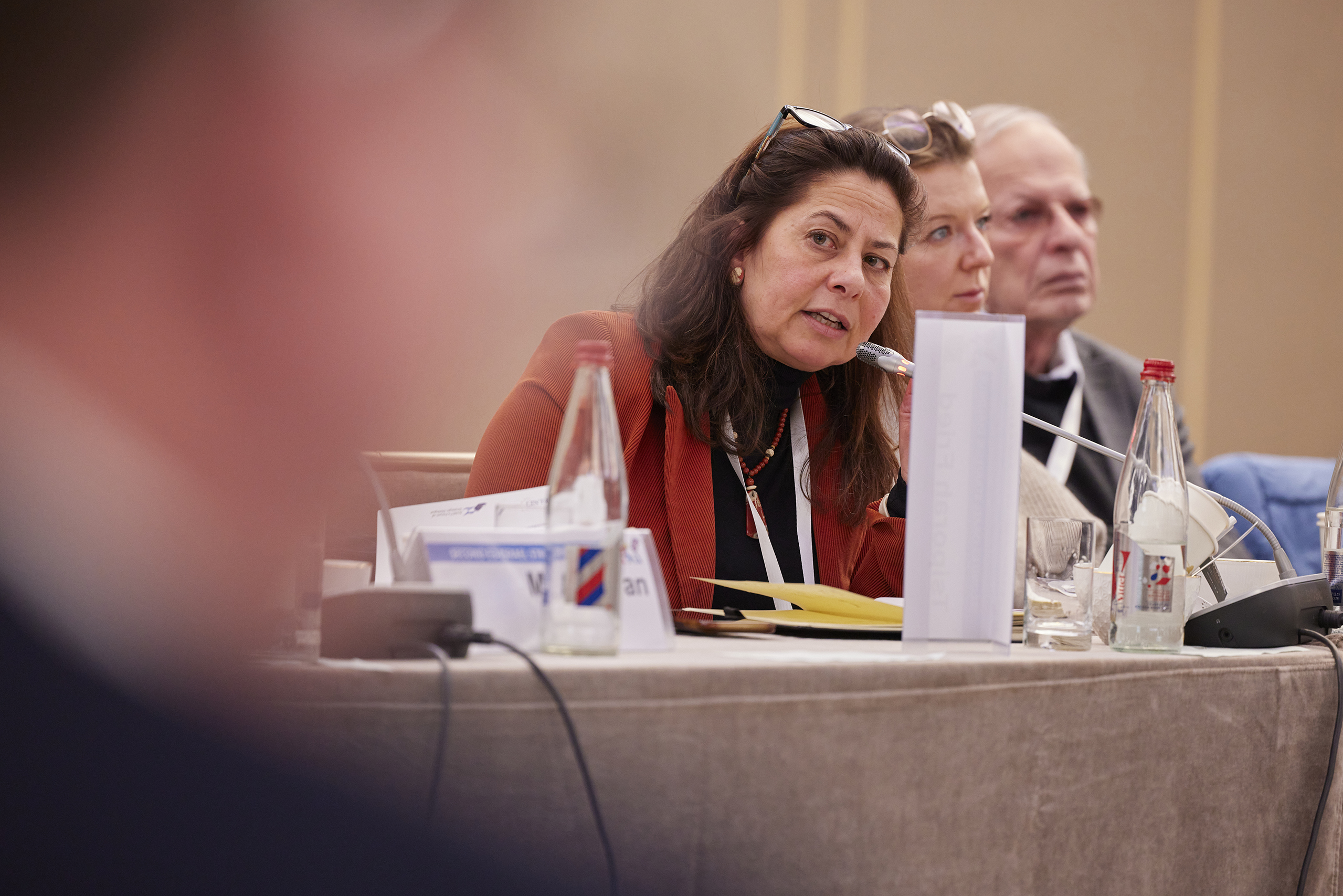 Delegate at a strategic dialogue
